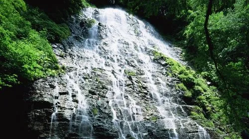 高端智能全自动
